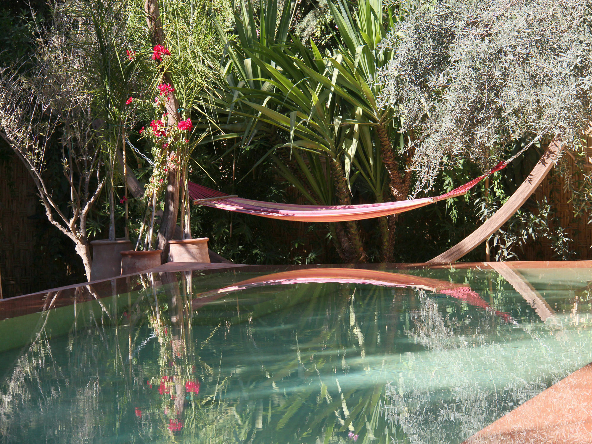 Le Jardin Touagana - Campement & Lodge Touggana Exterior foto